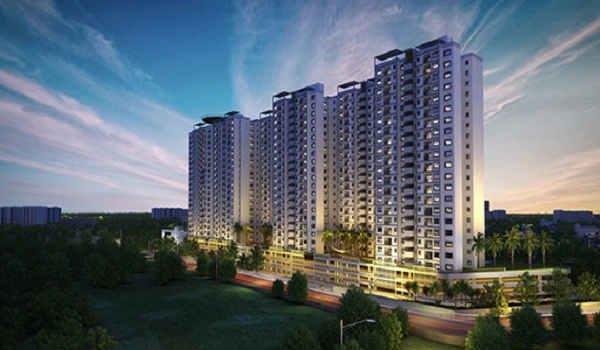 Featured Image of Sattva Cadenza