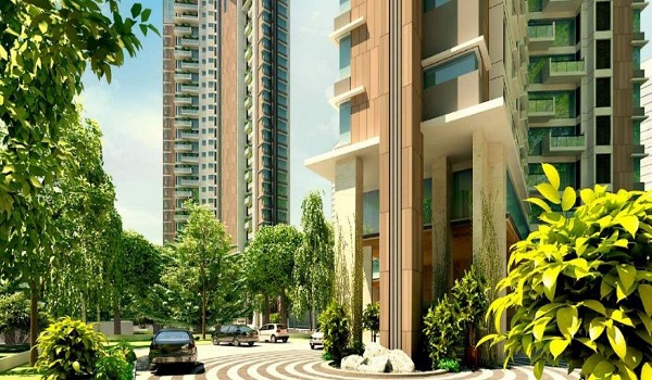 Sattva Forest Ridge Brochure