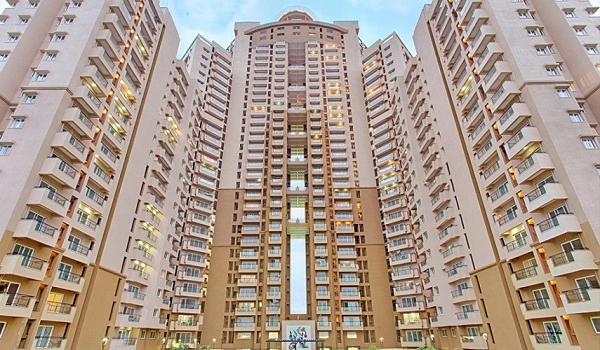 Featured Image of Sattva Gold Summit