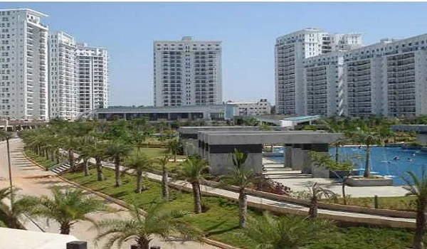 Featured Image of Sattva Texonic