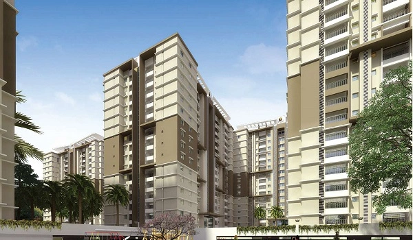 Featured Image of Sattva Verve